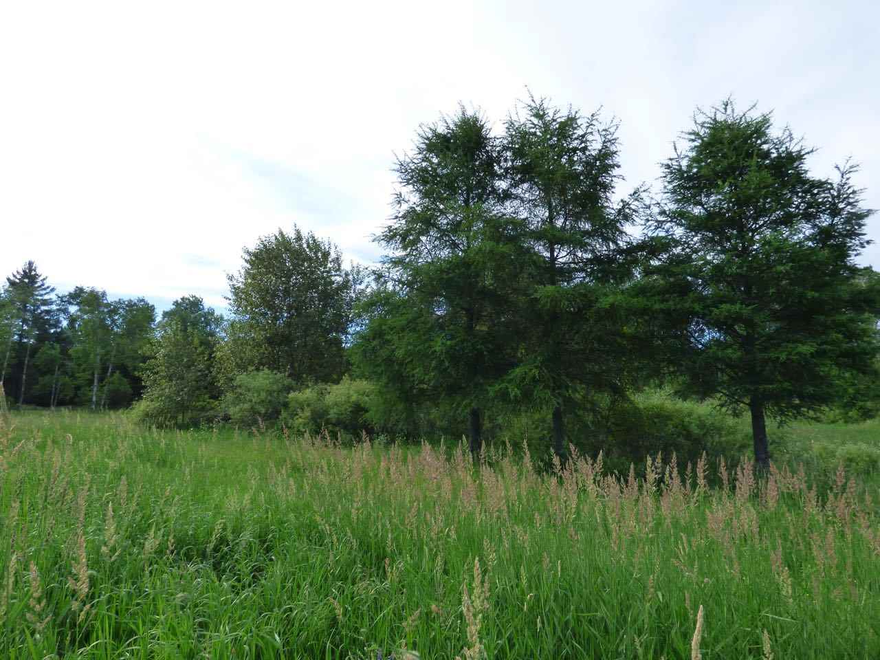 3940 Stover Road Bellaire, MI 49615 - Photo 47 of 53 1818693-46.JPG