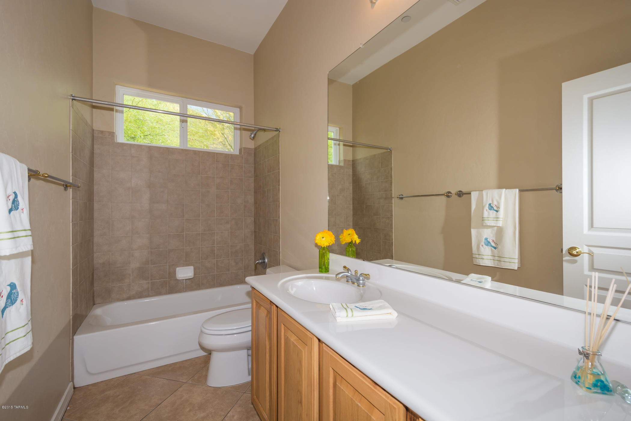 12679 North Spirit Mountain Road Tucson, AZ 85755 - Photo 22 of 43