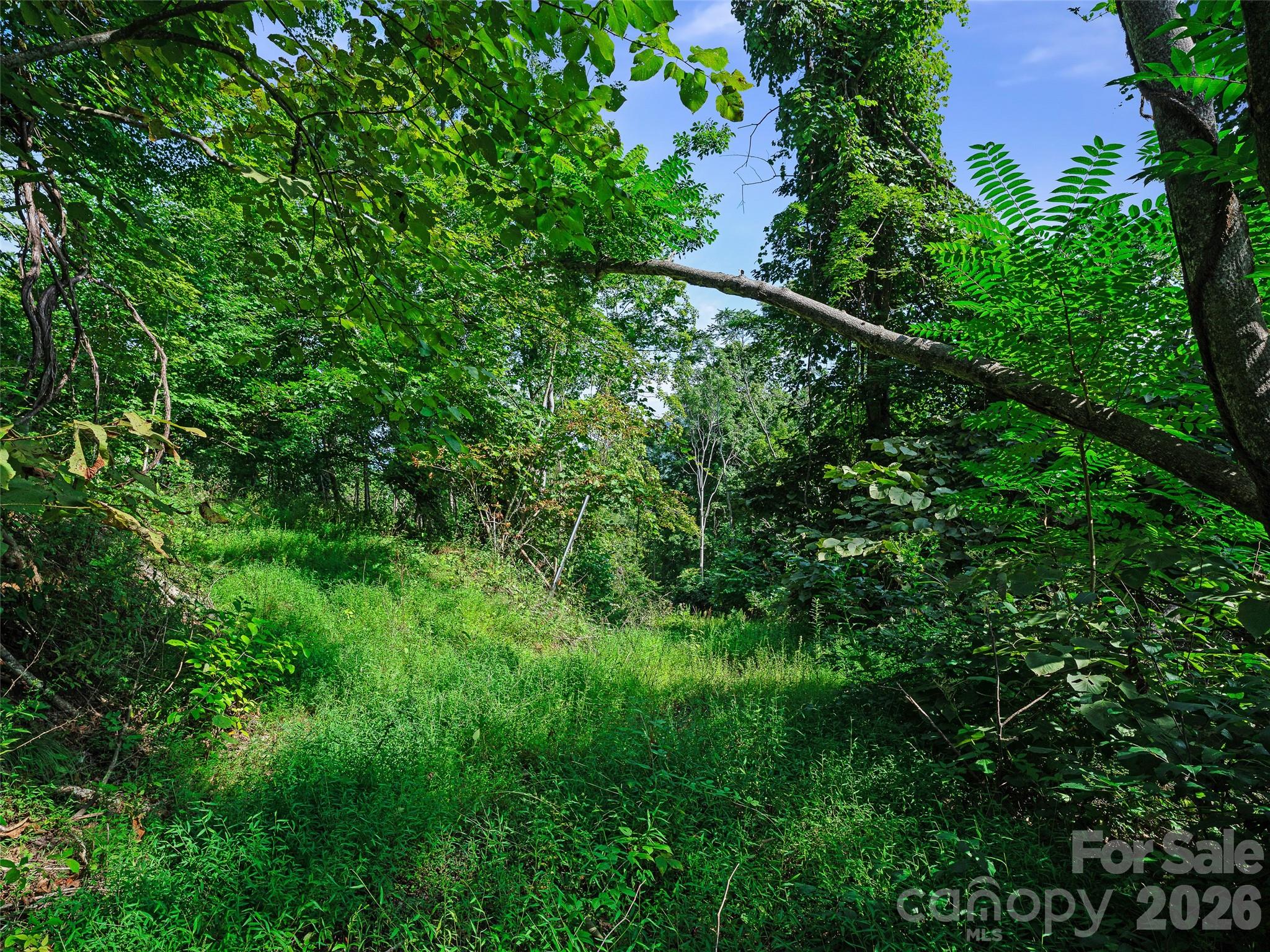 Lot #63-65 Lot#63-65 Bear Ridge Road Bakersville, NC 28705 - Photo 11 of 38 Gallery Image 11