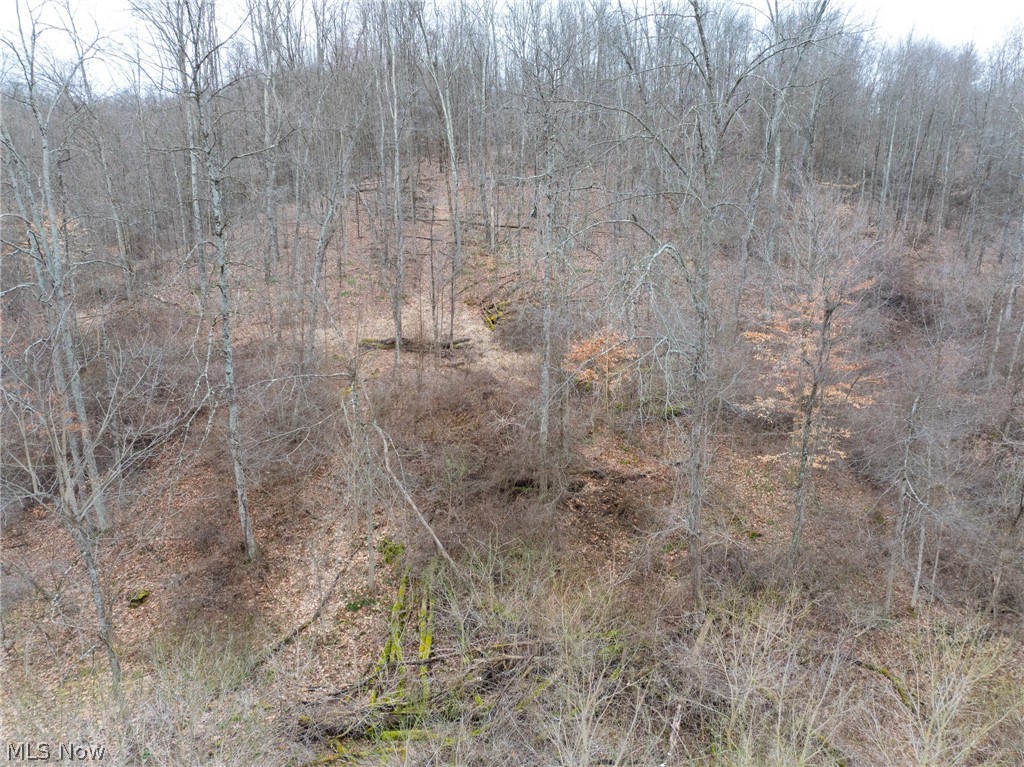 Sarchets Run Road Cambridge, OH 43725 - Photo 17 of 20