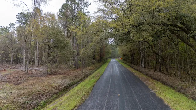 $60,000 | 0 Red Root Road, Ruffin, SC 29475