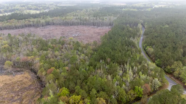 $60,000 | 0 Red Root Road, Ruffin, SC 29475