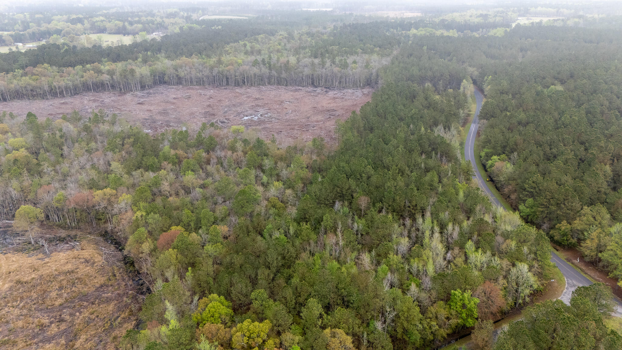 0 Red Root Road Ruffin, SC 29475 - Photo 2 of 8 5C1DAA88-3958-4859-BC9C-FE5C19FA0225