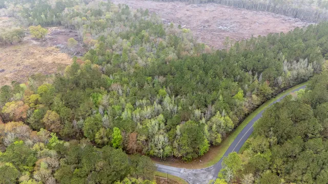 $60,000 | 0 Red Root Road, Ruffin, SC 29475