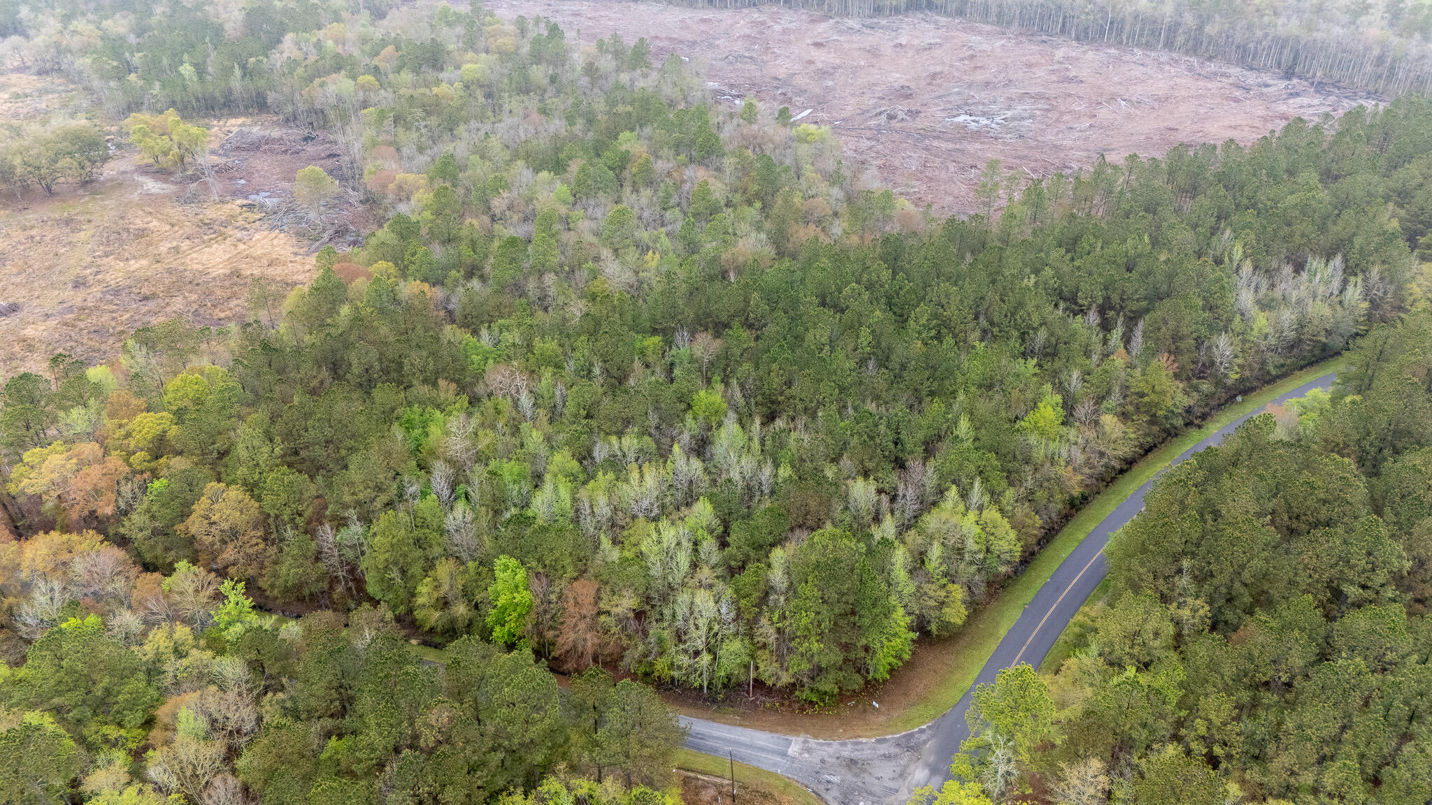 0 Red Root Road Ruffin, SC 29475 - Photo 3 of 8 9D60AB9B-5B74-4143-9A70-DB3A8B795400