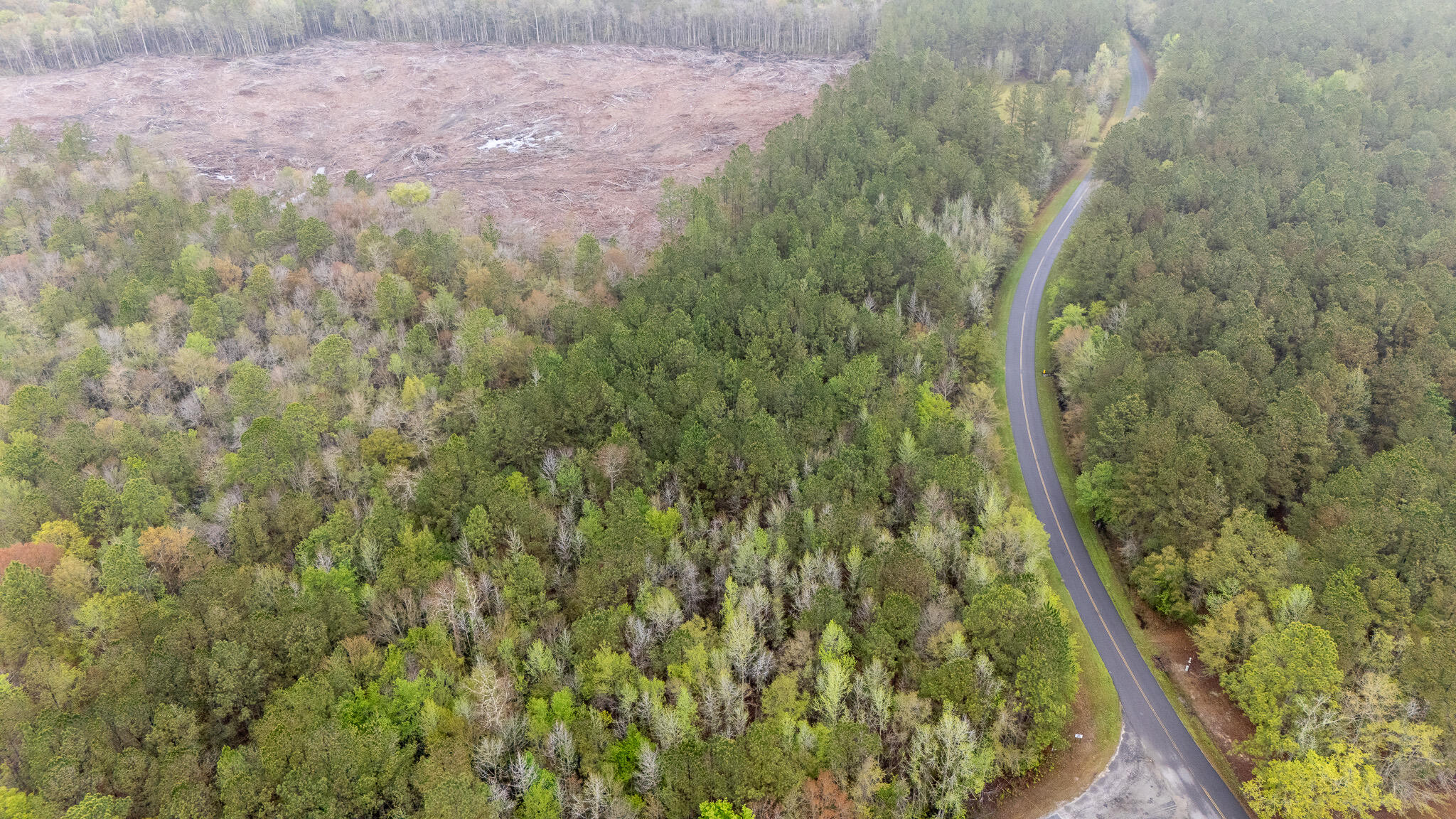 0 Red Root Road Ruffin, SC 29475 - Photo 4 of 8 4399D1D6-0579-47BB-845A-B17D622E35BE