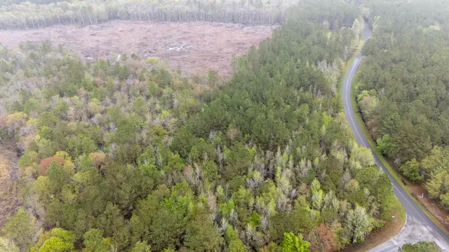 $60,000 | 0 Red Root Road, Ruffin, SC 29475