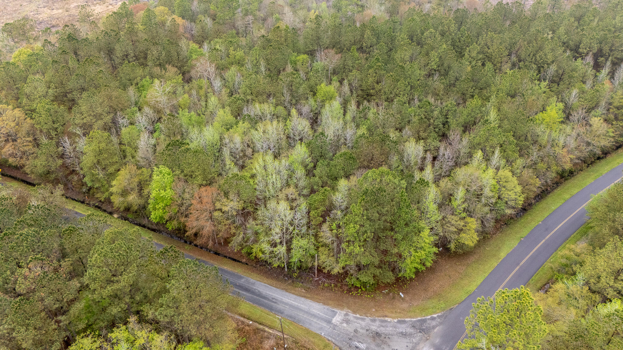 0 Red Root Road Ruffin, SC 29475 - Photo 6 of 8 C7F7D1A8-C734-4CBF-8B09-7DFB44D16739