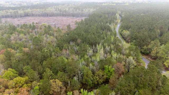 $60,000 | 0 Red Root Road, Ruffin, SC 29475