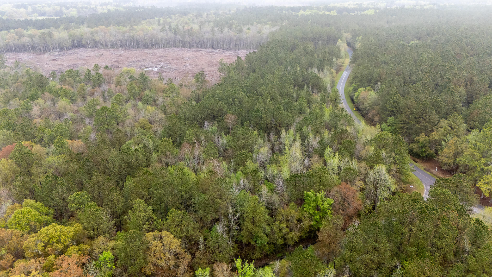 0 Red Root Road Ruffin, SC 29475 - Photo 7 of 8 C590D829-E335-4902-BA68-B032F65876CE