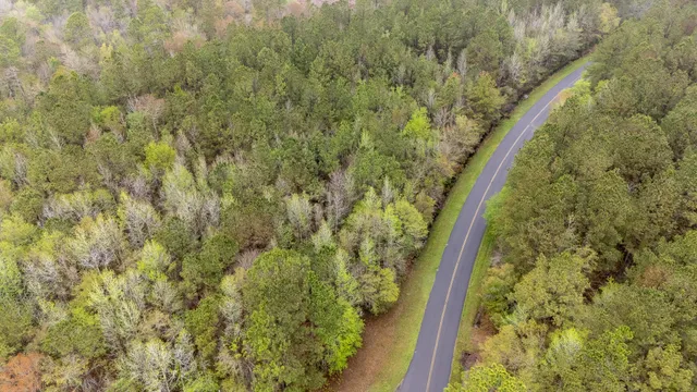 $60,000 | 0 Red Root Road, Ruffin, SC 29475