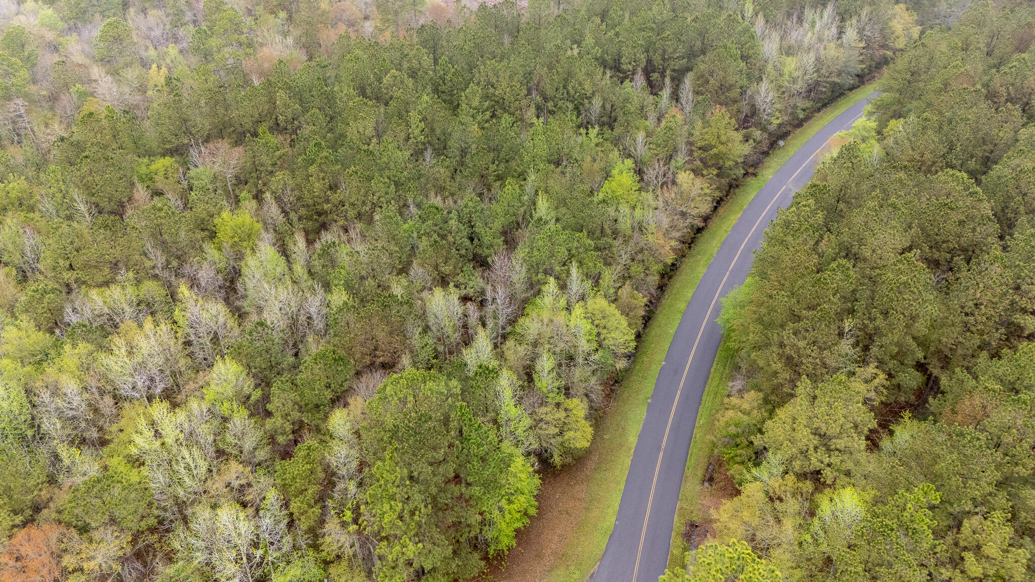 0 Red Root Road Ruffin, SC 29475 - Photo 8 of 8 F29A97A1-4649-4BF6-8C59-EB2B2BAD192A