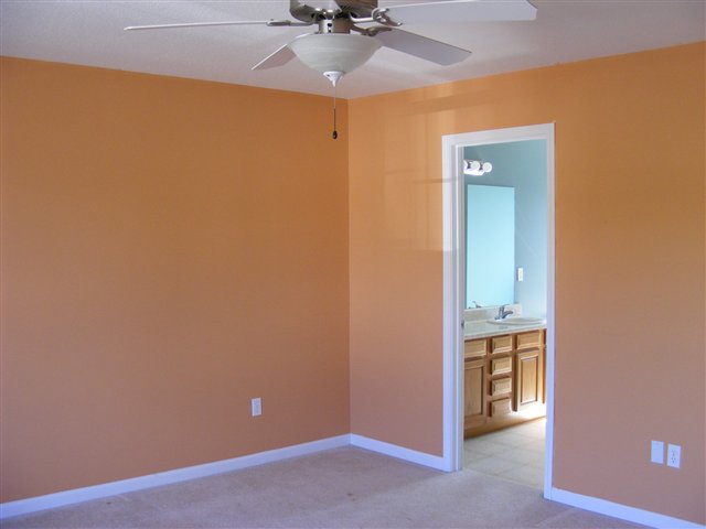 438 Pleasant Green Drive Inman, SC 29349 - Photo 18 of 25 Gallery Image 18