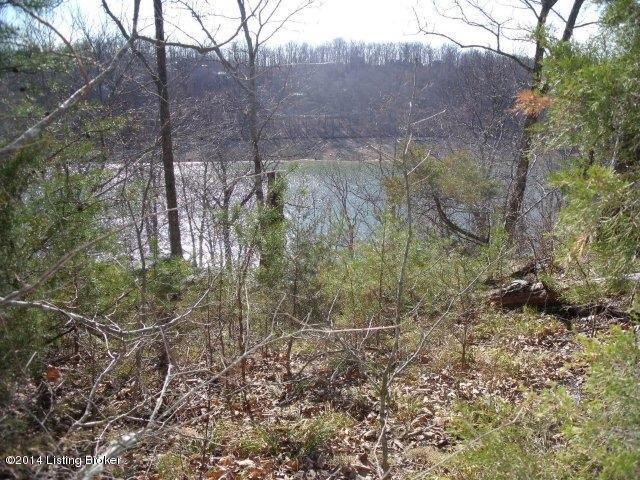 162 Wilderness Road Mammoth Cave, KY 42259 - Photo 18 of 23 Lakeview
