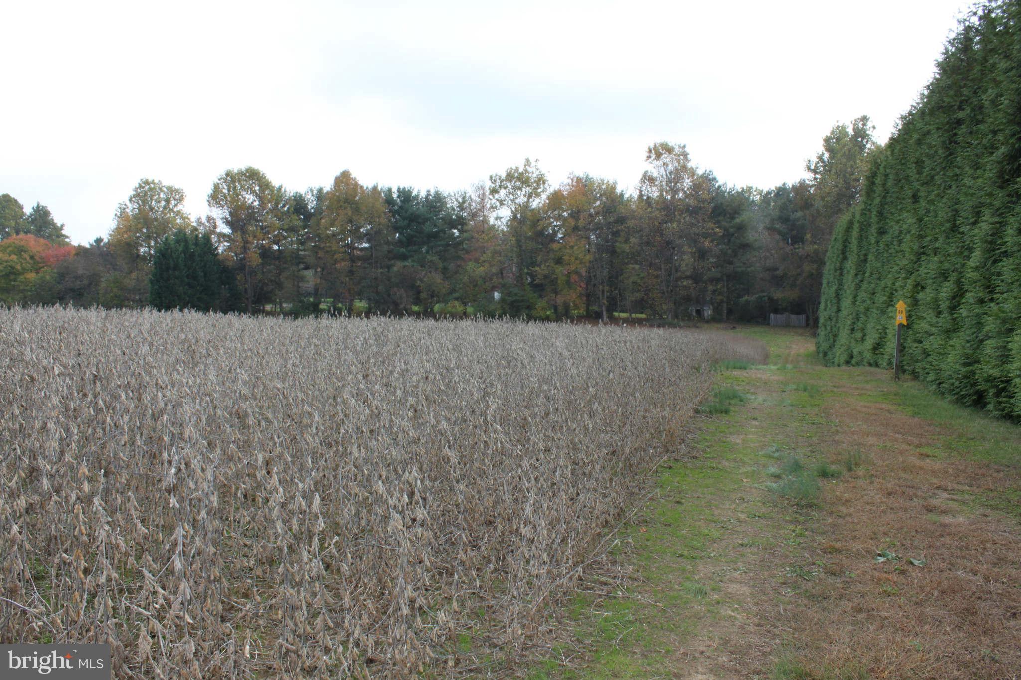 0 Double Gate Road Davidsonville, MD 21035 - Photo 1 of 7 2.5 acres of privacy in pastoral Davidsonville