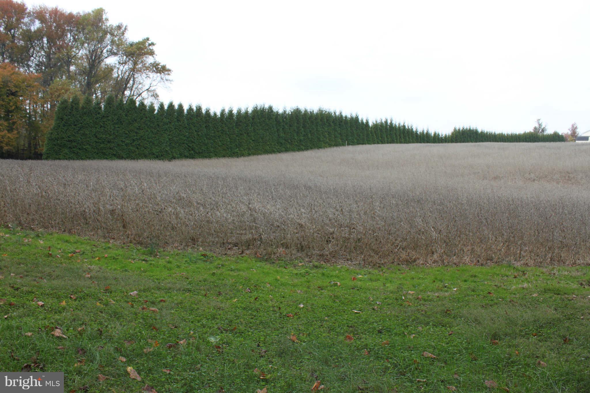 0 Double Gate Road Davidsonville, MD 21035 - Photo 4 of 7 Gentle rolling pastoral views