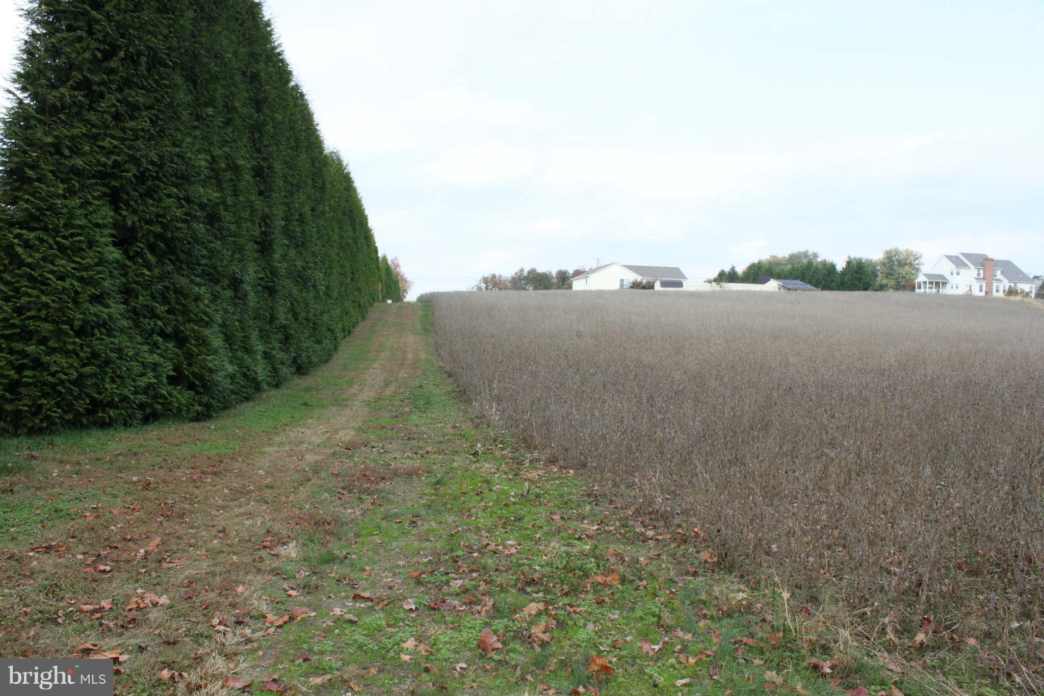 0 Double Gate Road Davidsonville, MD 21035 - Photo 5 of 7 Long view from back of property