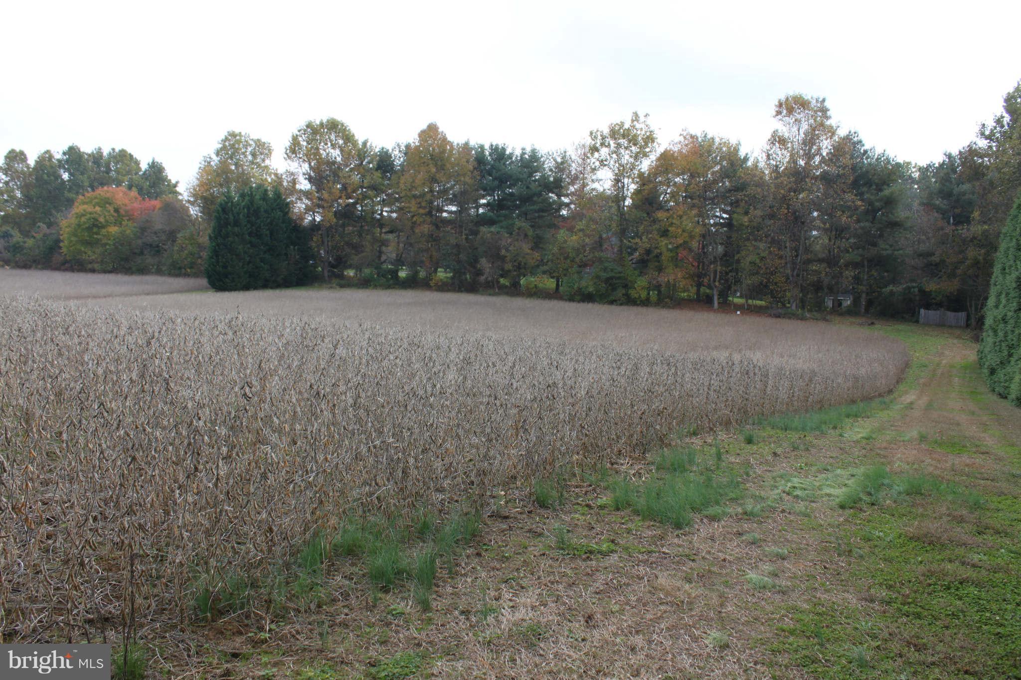 0 Double Gate Road Davidsonville, MD 21035 - Photo 6 of 7 View from front of property to back of property