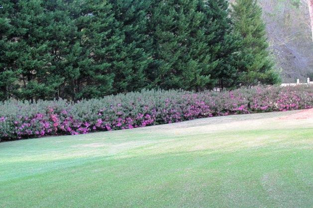 100 Hunt Club Road Barnwell, SC 29812 - Photo 31 of 36