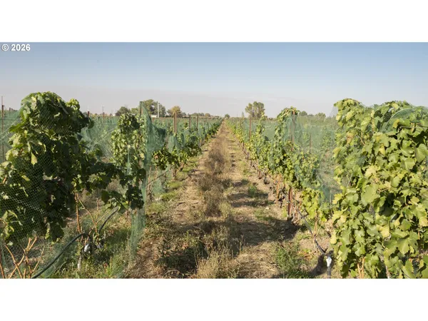 $800,000 | 52201 County Road, Milton Freewater, OR 97862