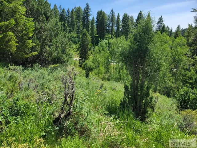 $152,000 | L58-b4 Cutthroat Run, Irwin, ID 83428