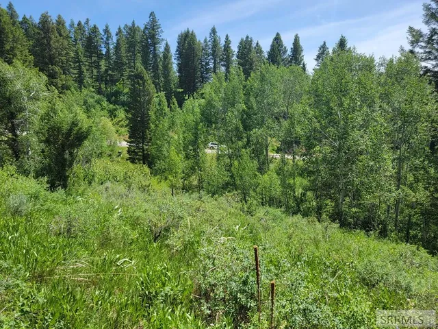 $152,000 | L58-b4 Cutthroat Run, Irwin, ID 83428