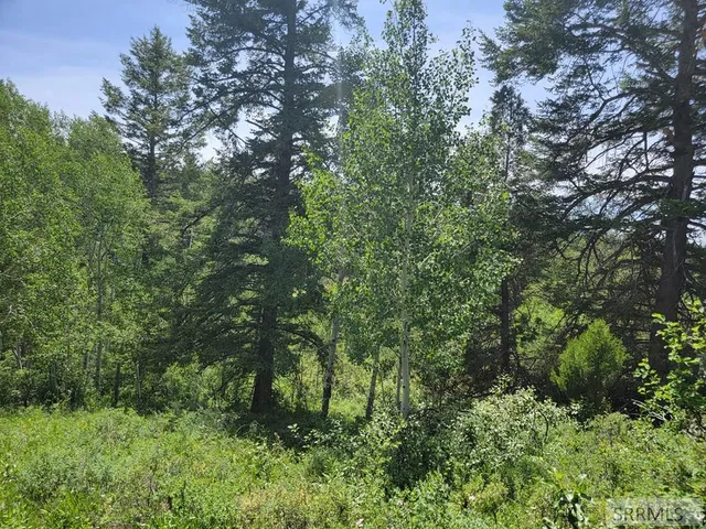 $152,000 | L58-b4 Cutthroat Run, Irwin, ID 83428