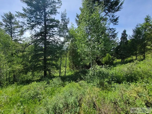 $152,000 | L58-b4 Cutthroat Run, Irwin, ID 83428