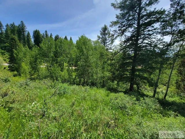 $152,000 | L58-b4 Cutthroat Run, Irwin, ID 83428