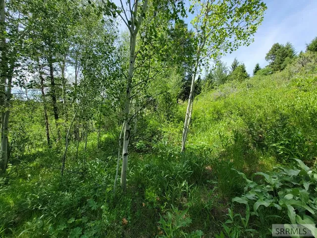 $152,000 | L58-b4 Cutthroat Run, Irwin, ID 83428