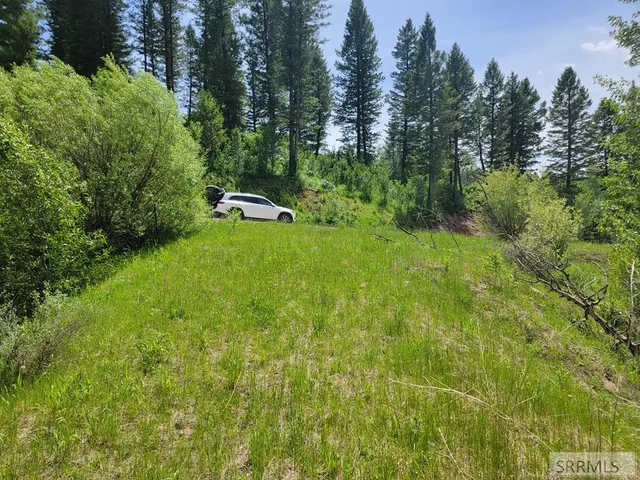 $152,000 | L58-b4 Cutthroat Run, Irwin, ID 83428