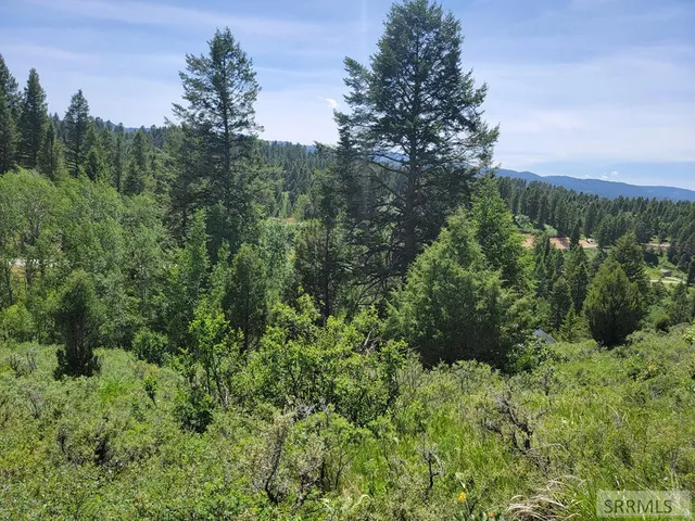 $152,000 | L58-b4 Cutthroat Run, Irwin, ID 83428