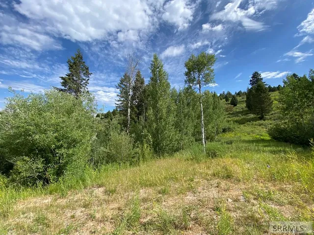 $152,000 | L58-b4 Cutthroat Run, Irwin, ID 83428