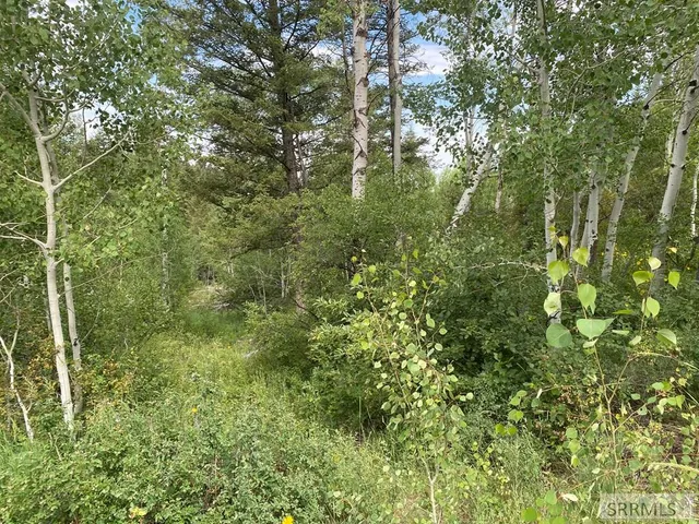 $152,000 | L58-b4 Cutthroat Run, Irwin, ID 83428