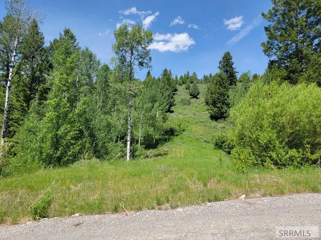 $152,000 | L58-b4 Cutthroat Run, Irwin, ID 83428