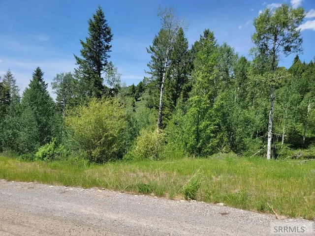 $152,000 | L58-b4 Cutthroat Run, Irwin, ID 83428