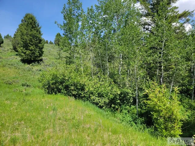 $152,000 | L58-b4 Cutthroat Run, Irwin, ID 83428