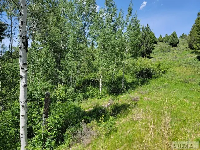 $152,000 | L58-b4 Cutthroat Run, Irwin, ID 83428