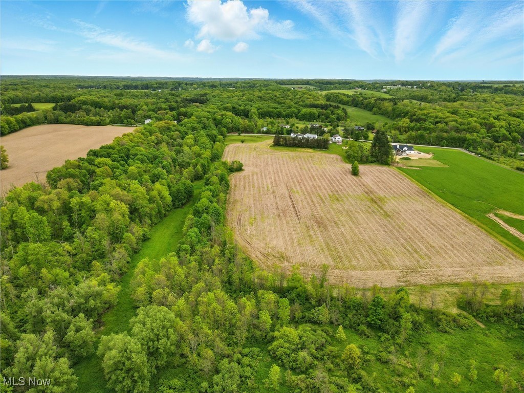Taylor Wells Road Chardon, OH 44024 - Photo 5 of 20 View of rural area with a forest and farmland