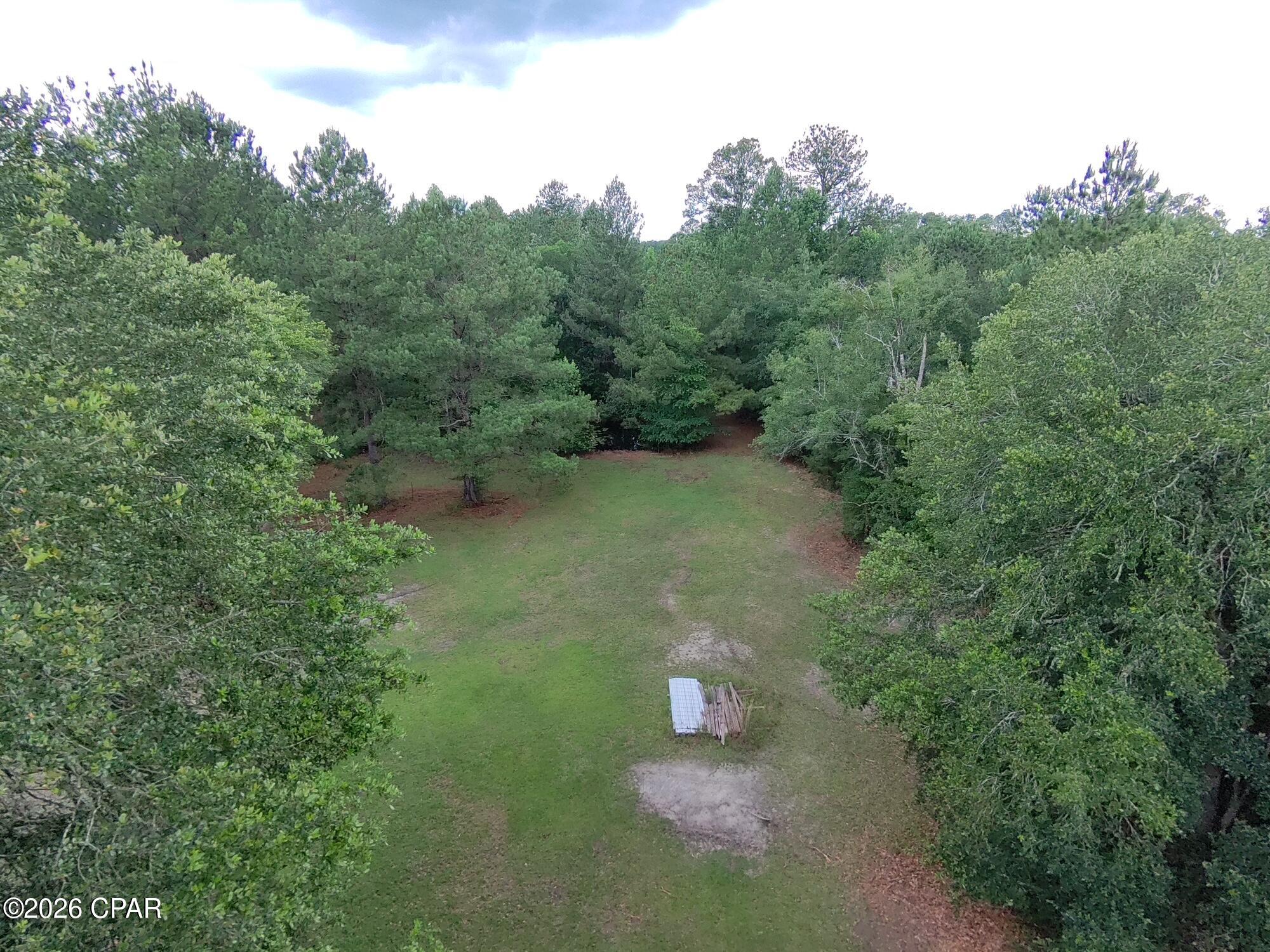 2802 Sylvania Road Vernon, FL 32462 - Photo 10 of 38