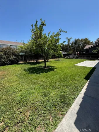 a view of a big yard with potted plants and large trees
