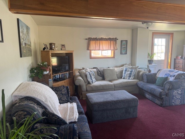 3821 Rector Road Martinsburg, NY 13367 - Photo 21 of 50