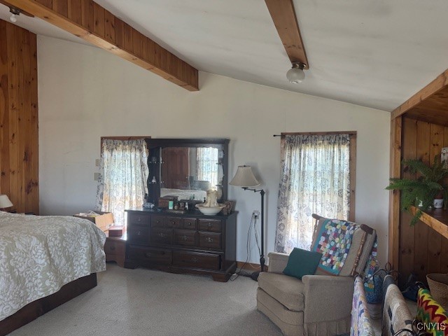 3821 Rector Road Martinsburg, NY 13367 - Photo 26 of 50