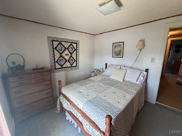 3821 Rector Road Martinsburg, NY 13367 - Photo 29 of 50