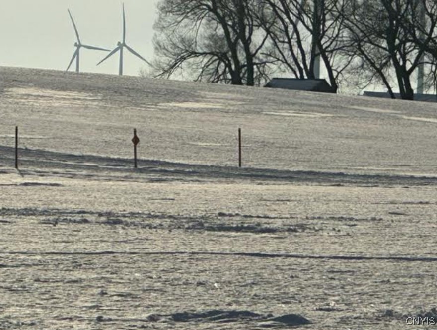 3821 Rector Road Martinsburg, NY 13367 - Photo 50 of 50 Property across the road, access to snowmobile tra