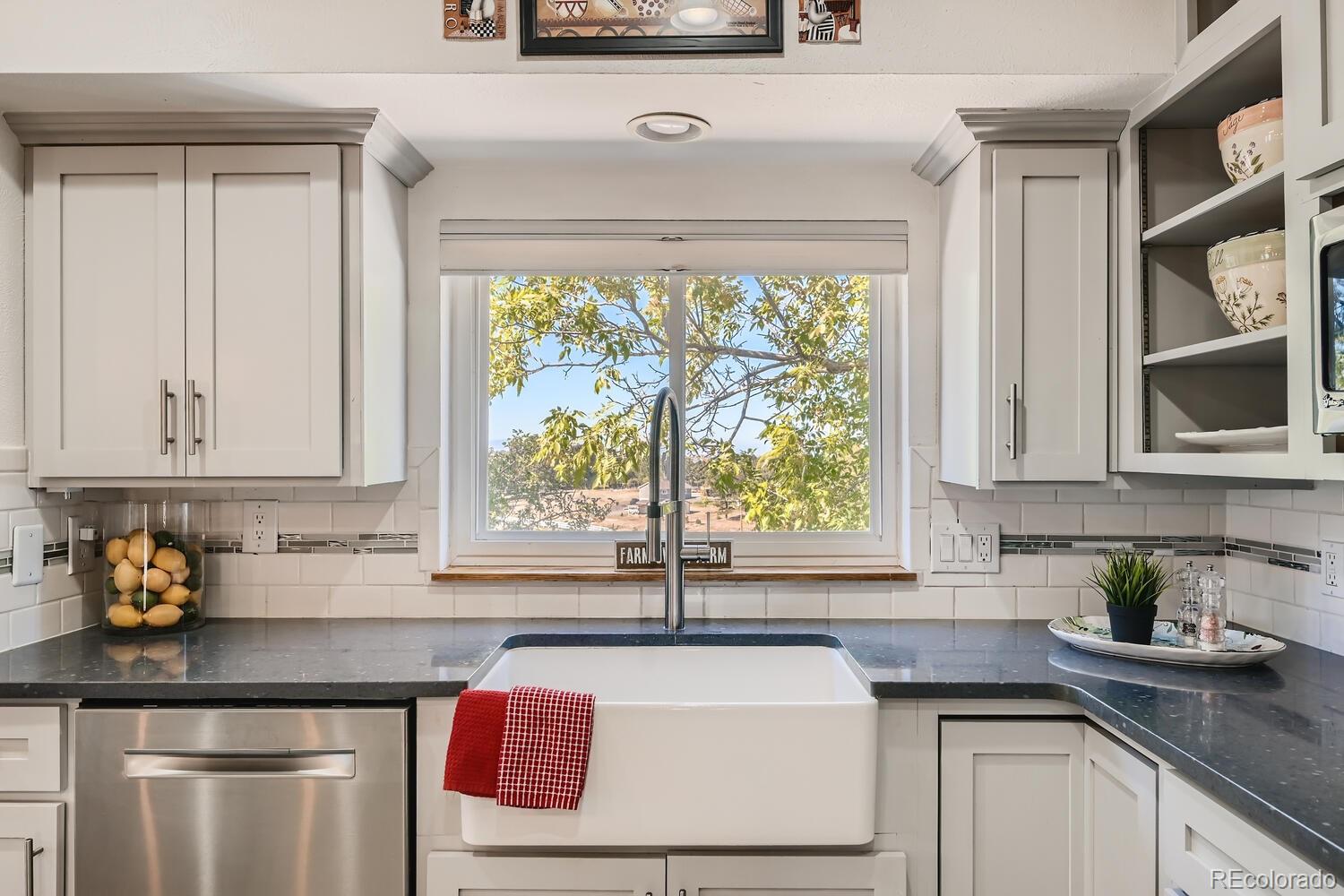 10871 Spring Creek Road Parker, CO 80138 - Photo 2 of 38 Gallery Image 2