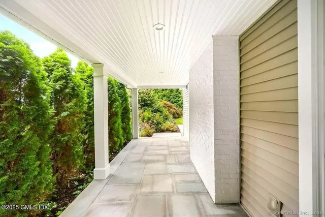 a view of a garden from a window