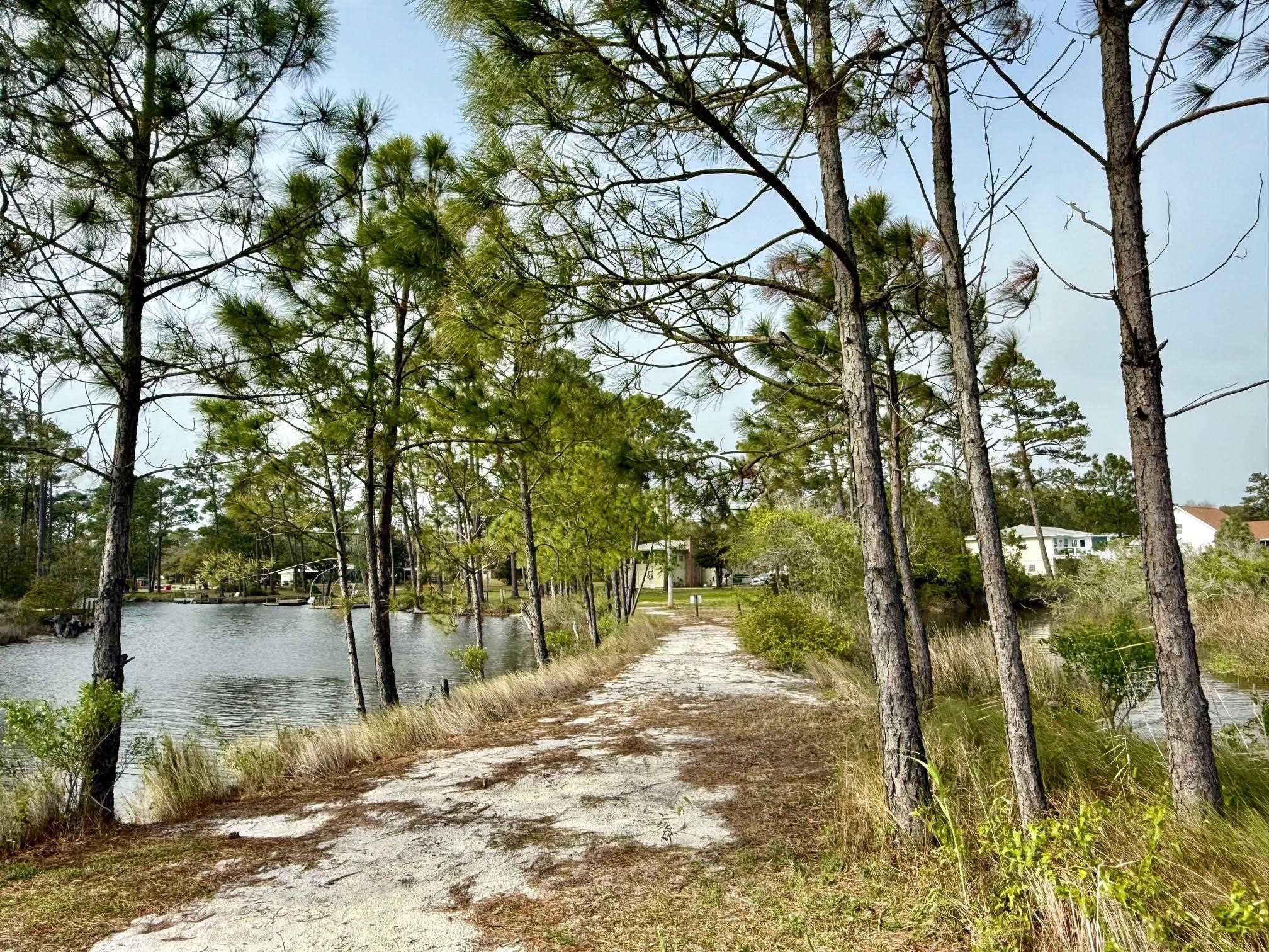 308 West 12th Avenue Gulf Shores, AL 36542 - Photo 34 of 41