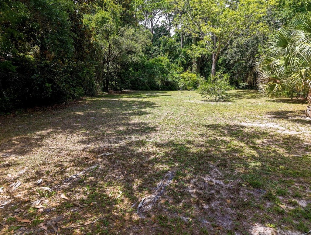 333 Old Ferry Dock Road Eastpoint, FL 32328 - Photo 3 of 5
