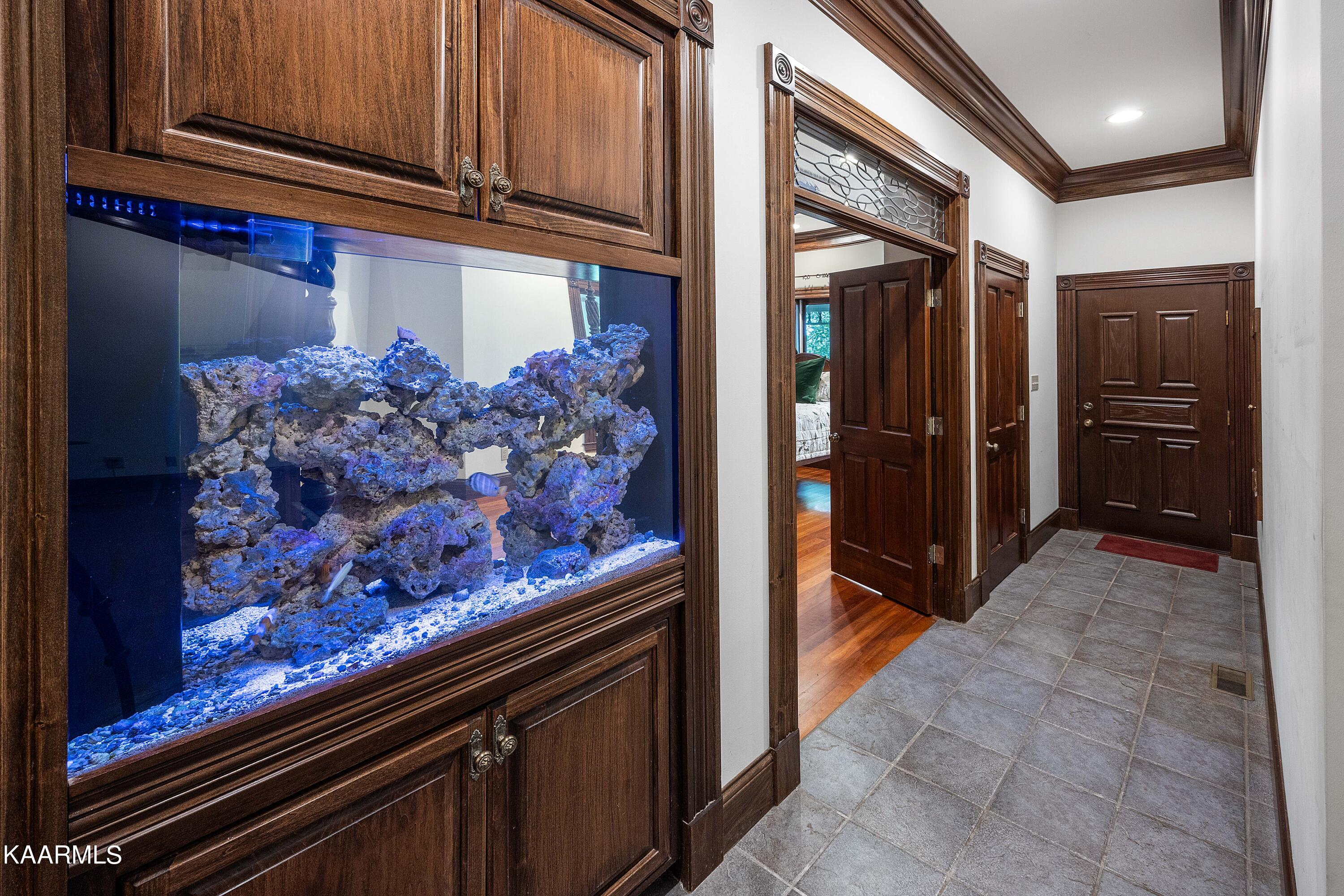 12459 Early Road Knoxville, TN 37922 - Photo 18 of 53 Built in aquarium